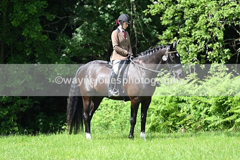 WJ7_1241 - Class 11 Condition & Turnout