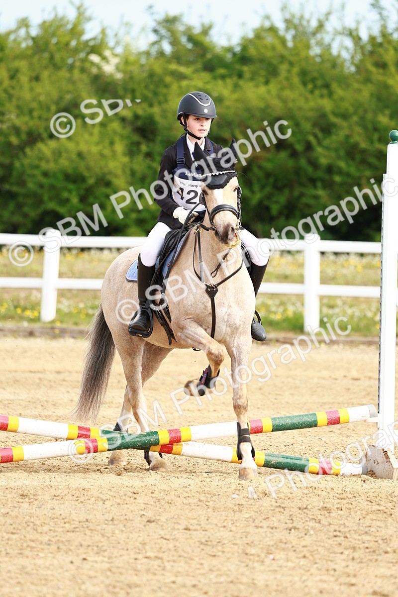 SBM_006505 - Class 1 - 40cm