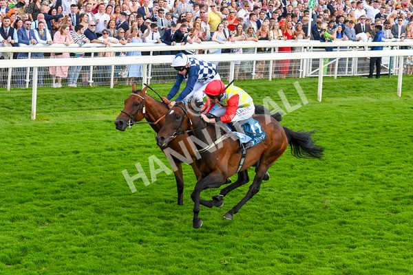 290723-Race 5-Baez-0834 - Race 5 4.35pm Sky Bet Prize Drop Handicap