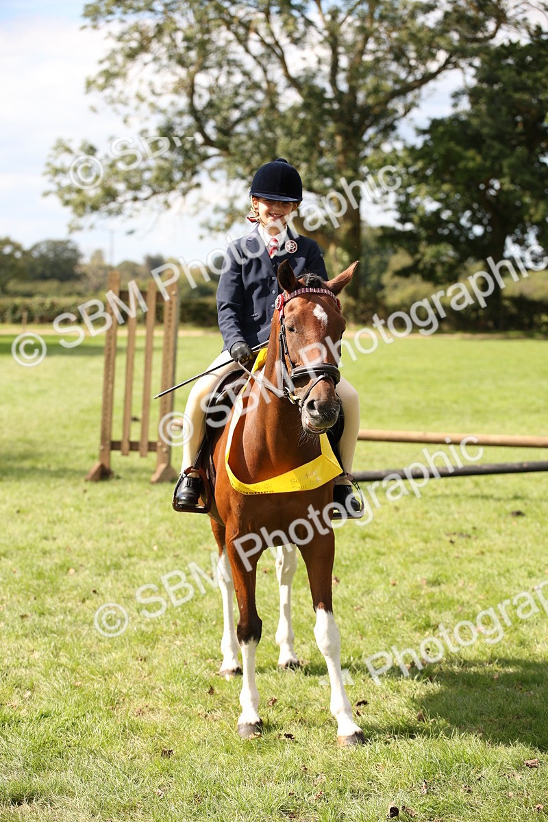 SBM_42393 - S13 - Pony Club Pony