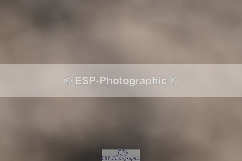 250301-095747-00140 - 70cm