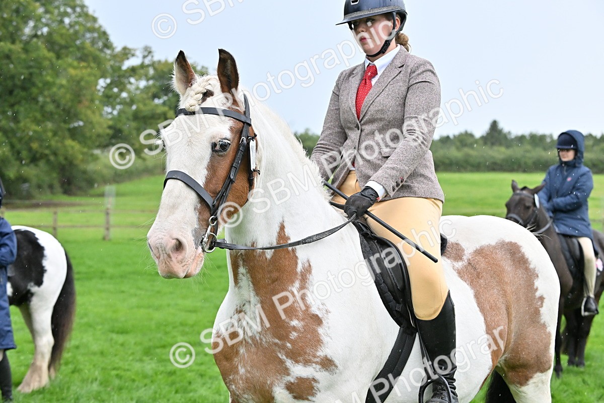SBM_42962 - S12 - Family Horse & Pony