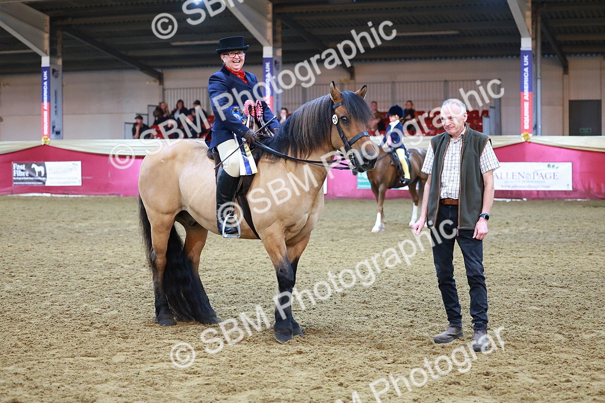 SBM_14845 - Class E - Best Turned Out Champ