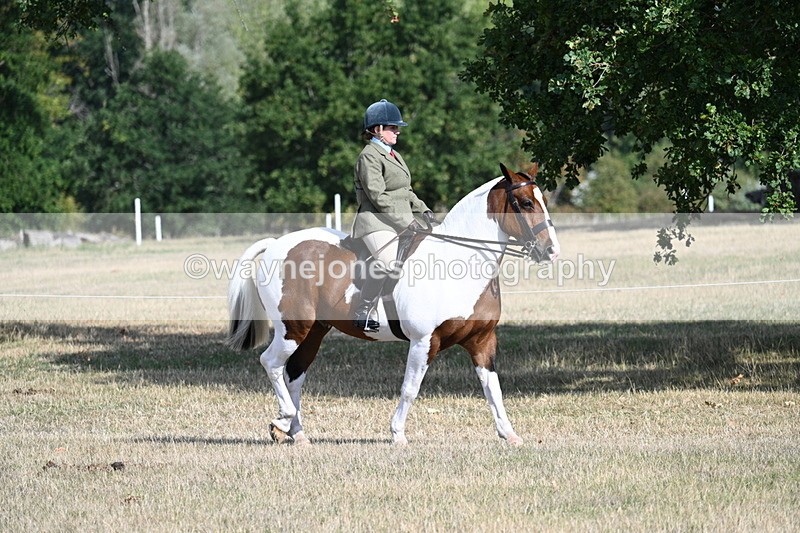 WJ7_2675 - Class 8 Ridden Tack & Turnout