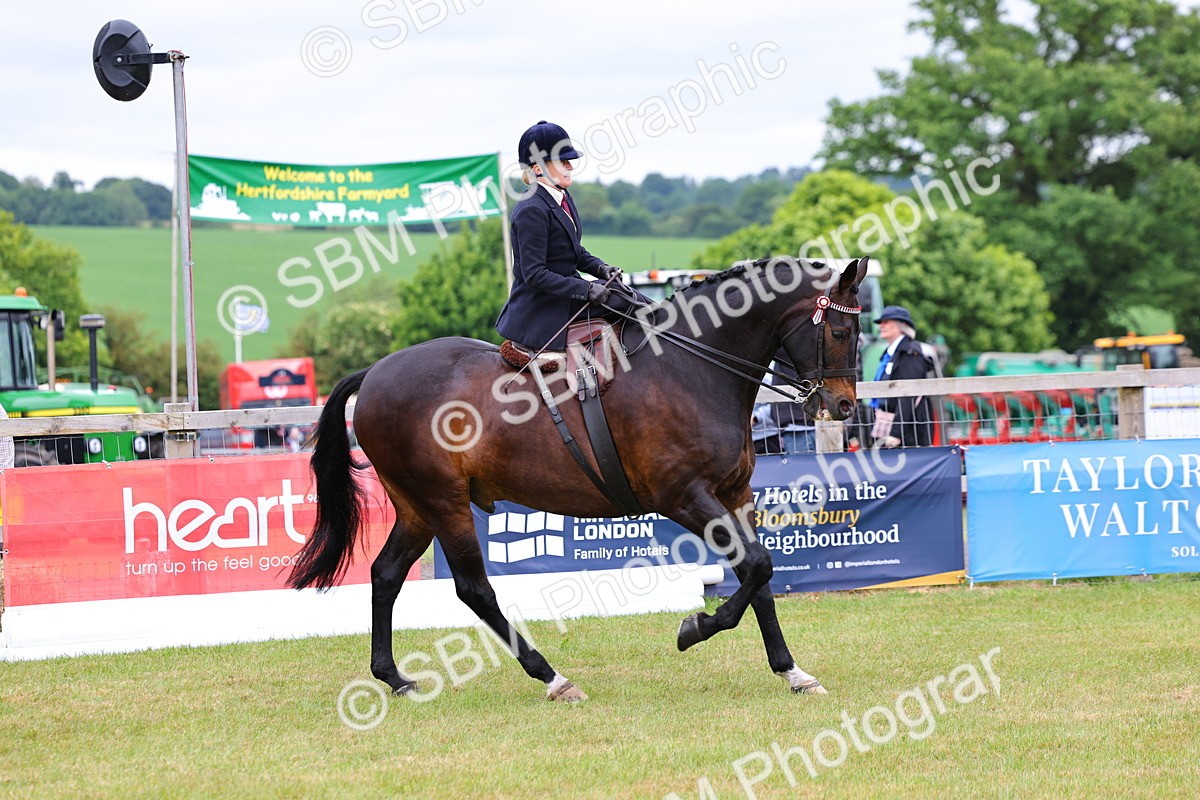 SBM_02901 - Class 9-11 Side Saddle including LIHS Rising Star Ladies Show Horse