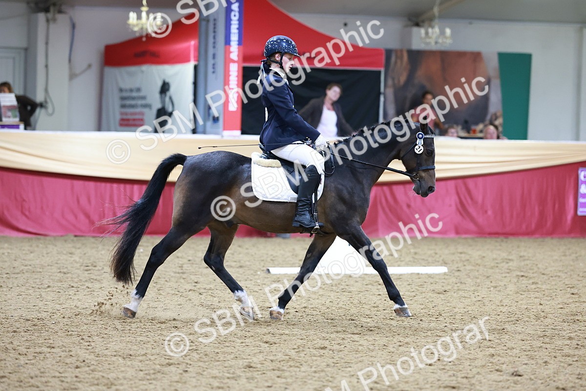 SBM_09284 - Class 61 - Dressage to Music