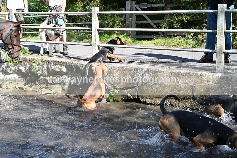 WJ7_6018 - Hounds Water Crossing