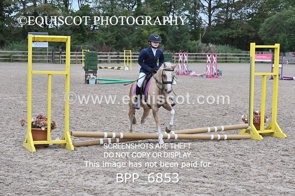 BPP_6853 - CLEAR ROUND