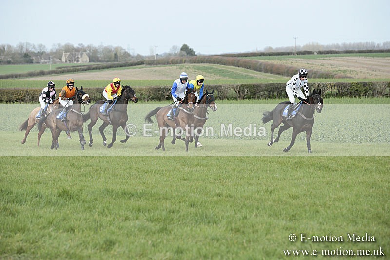 PtP 230319 246 - VWH Hunt Siddington Point-to-Point Racing 23/03/19