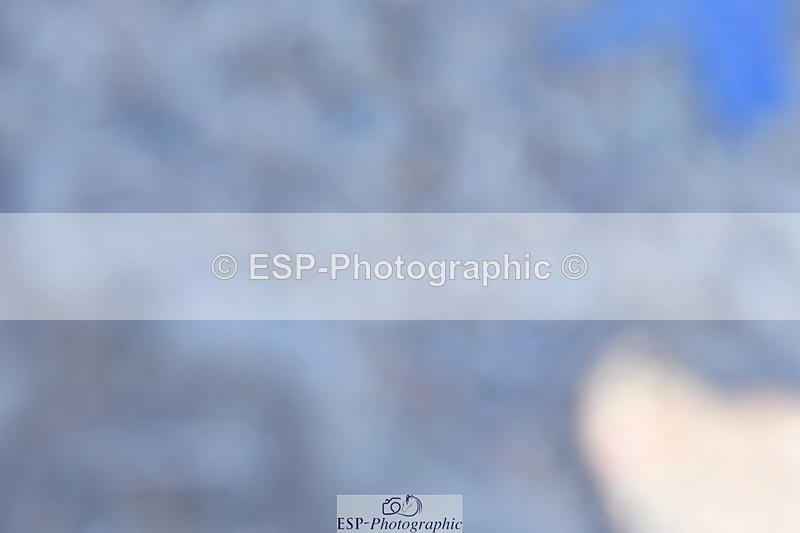 230520A-101335-01003 - Cls 4 Prelim 12