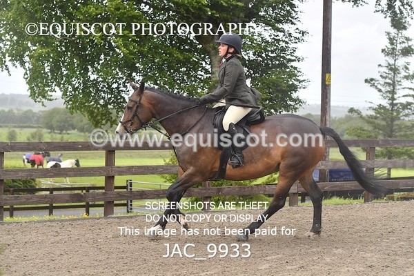 JAC_9933 - CLASS 3 Intermediate Working Hunter (0.70m - 0.85m)