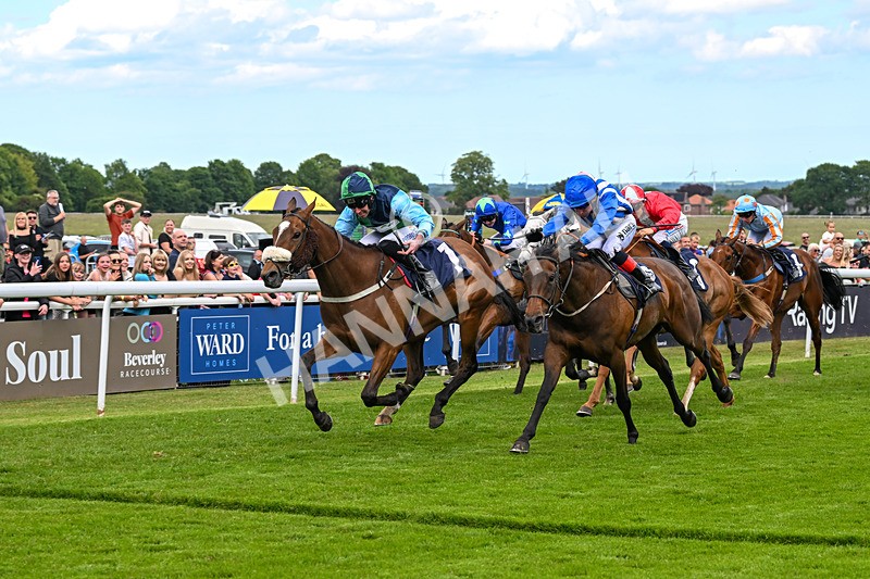 280525-Race 4-Princess Niyla-5236 - Race 4