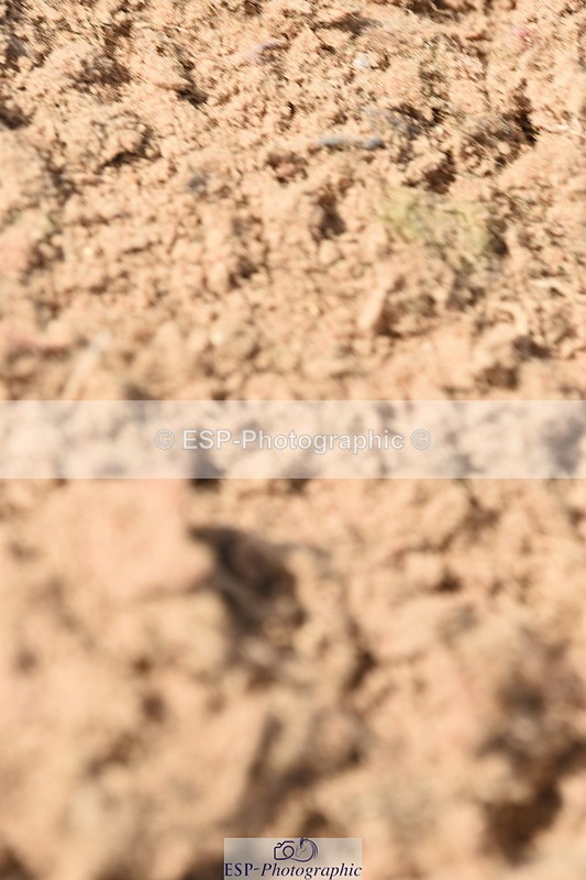 230915A-133200-00524 - Cls 11 Snr Discovery & 1m Open