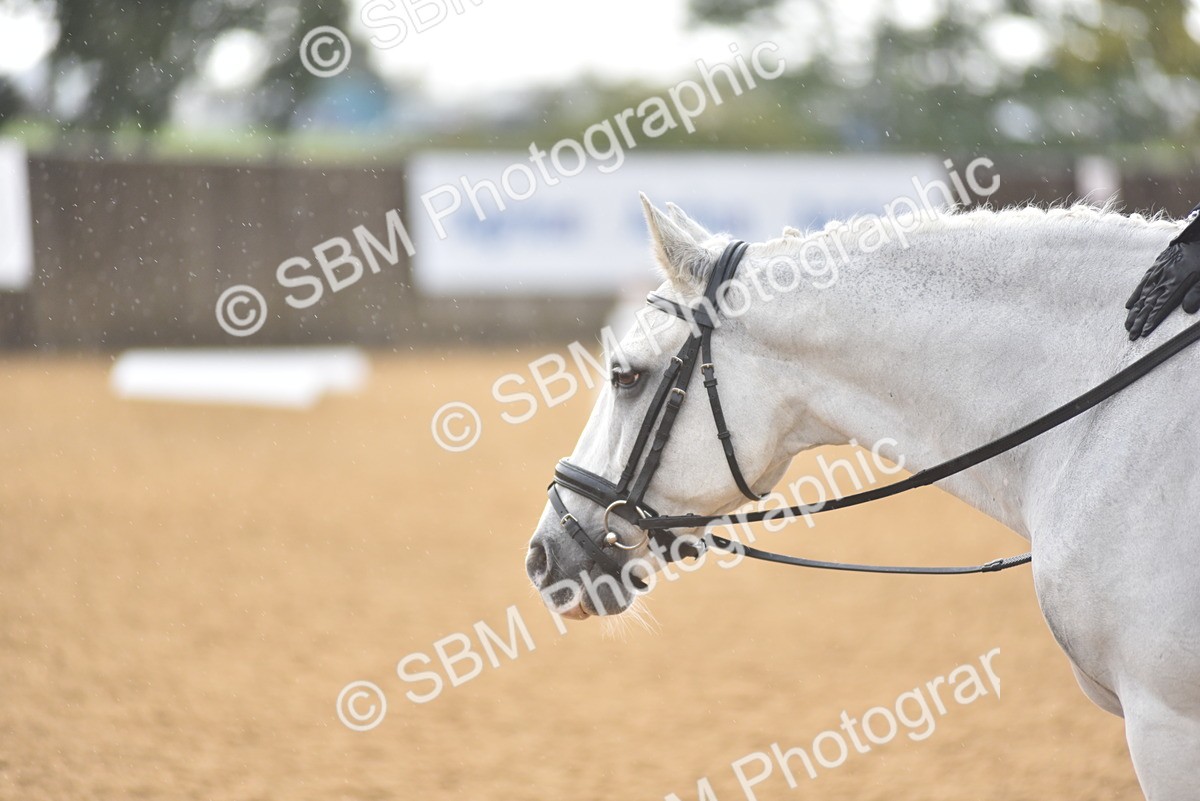SBM_02081 - D7 - Small Tour Championship Prelim 2