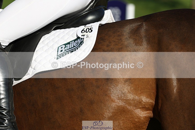 231022-104030-24673 - 605-SPORTSFIELD.U2-Katie.Corbin-TrotUp+SJ