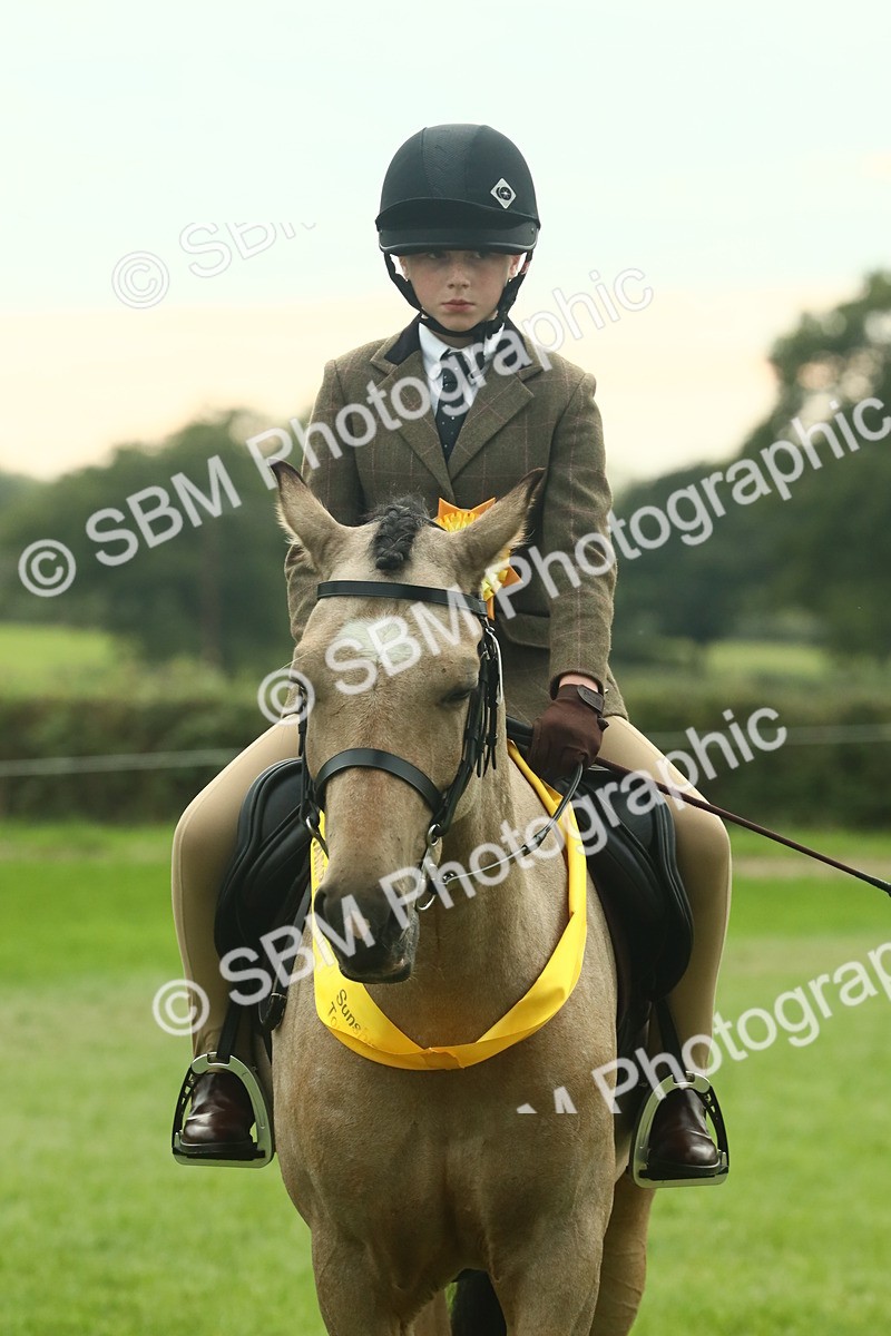 SBM_75066 - Ridden Pony Supreme Championship