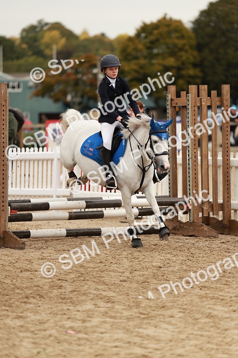 SBM_57952 - J11 - Junior Pony 50cm Championship