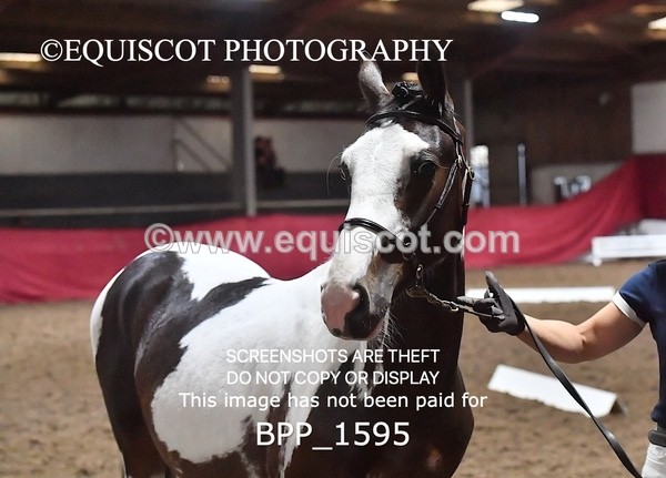 BPP_1595 - MORNING 9AM - 12PM