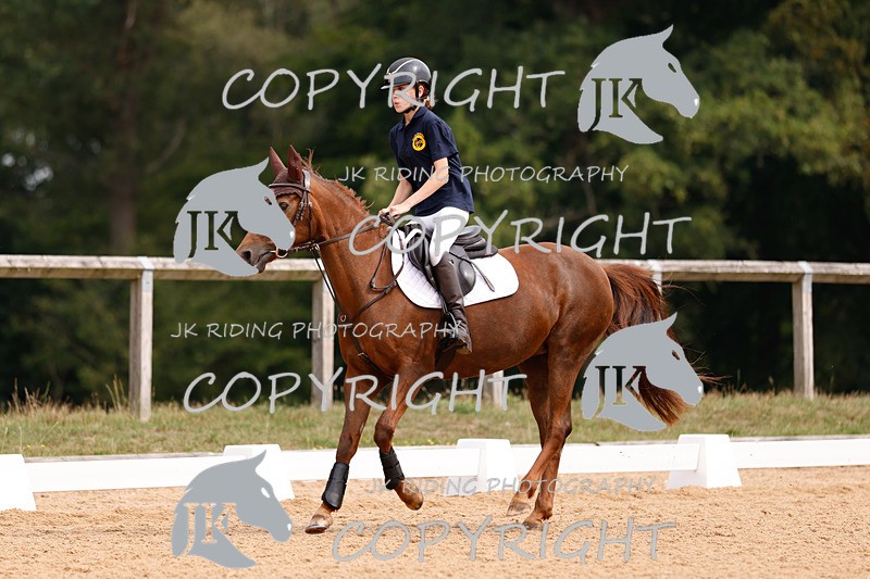 _R6A2520 - Dressage Morning