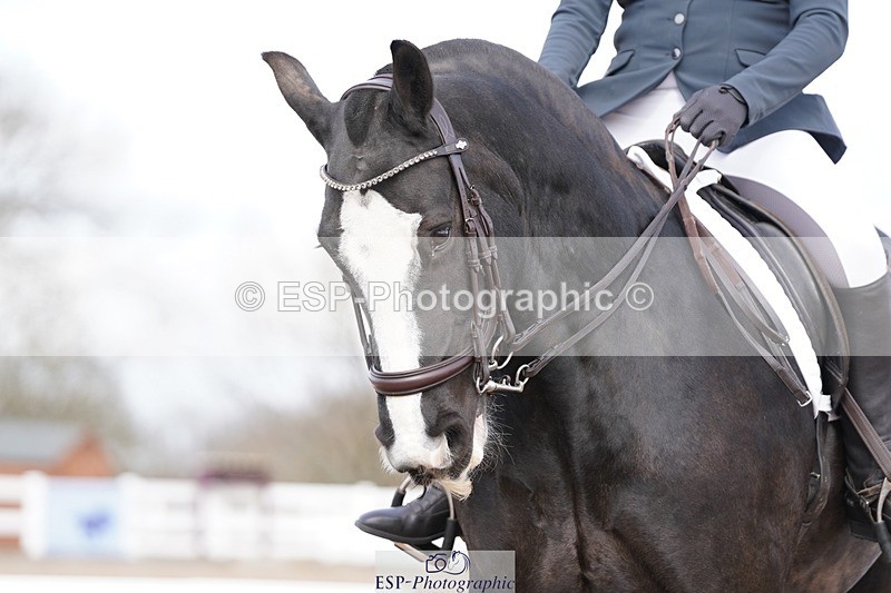 250322-111634-00231 - DR Elementary 1 Test