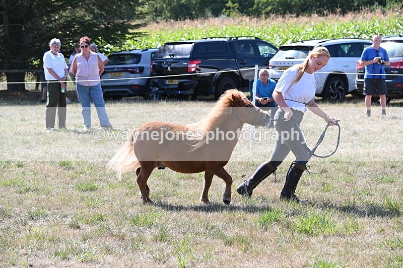 WJ6_4808 - Class 17 Mountain & Moorland