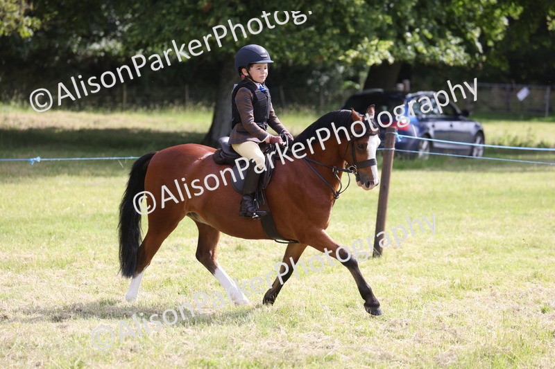 20260614-0496 - Class 20 - Beginners Working Hunter Pony