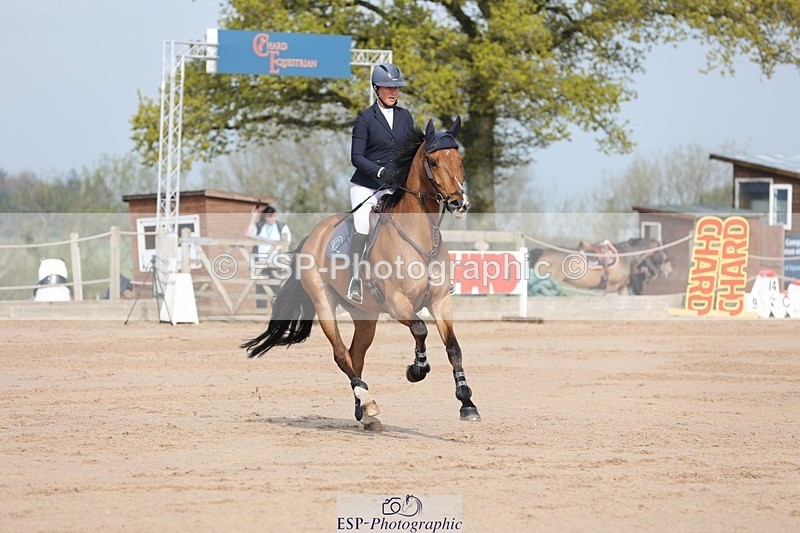 250424-102426-02996 - Cls 33 Young Horse 7yr old