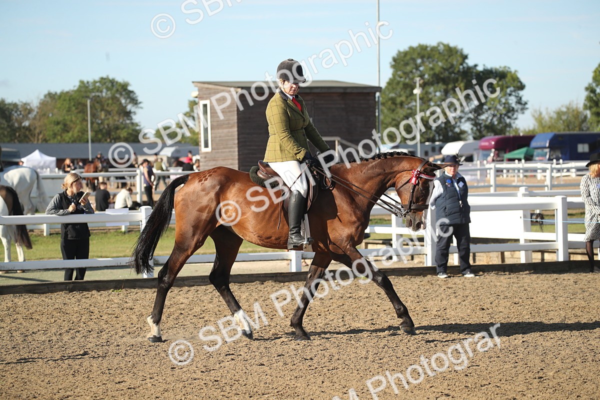 SBM_11262 - Class 501 -Riding Club Pony