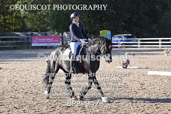 BPP_9473 - LONG ARENA