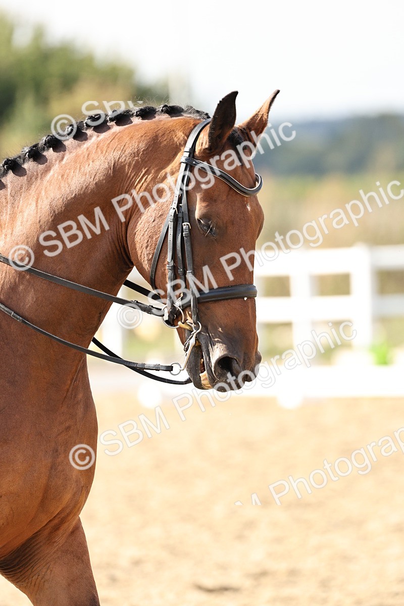 SBM_015429 - Class 9 - Advanced medium 3