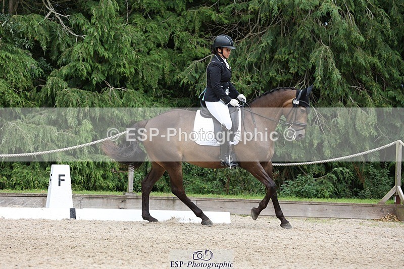 230812-143849-04463 - Cls 5 Novice Bronze 13.40 to 14.45 break