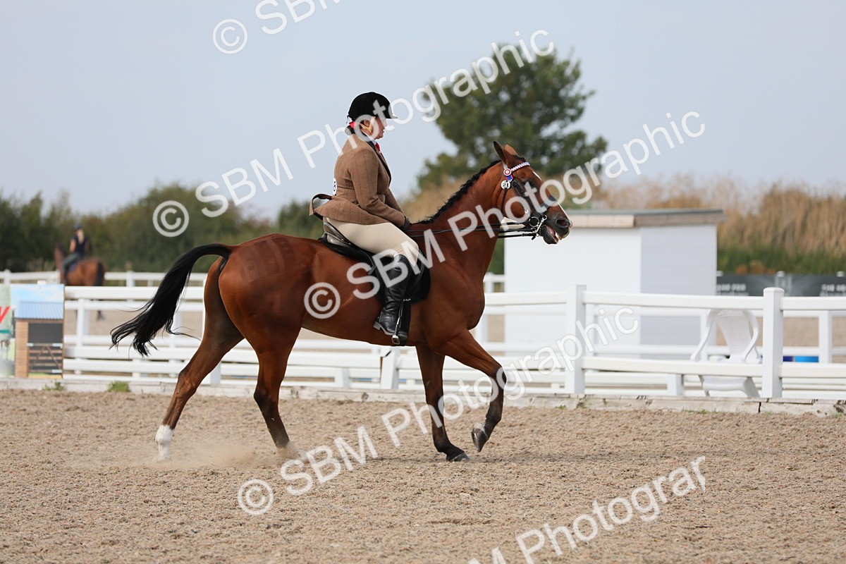 SBM_16959 - Class 314 Family Horse/Pony