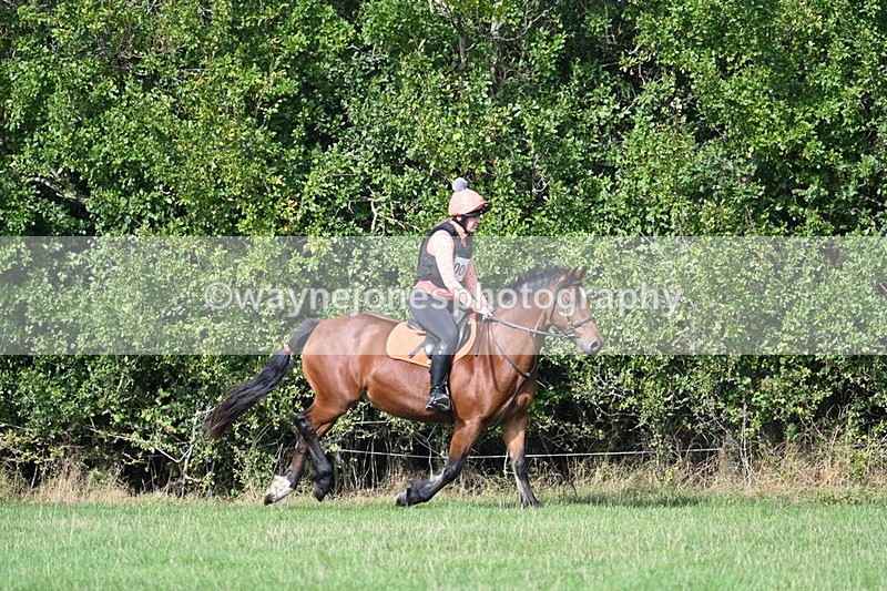 WJ7_9562 - Time 12:12 to 12:40