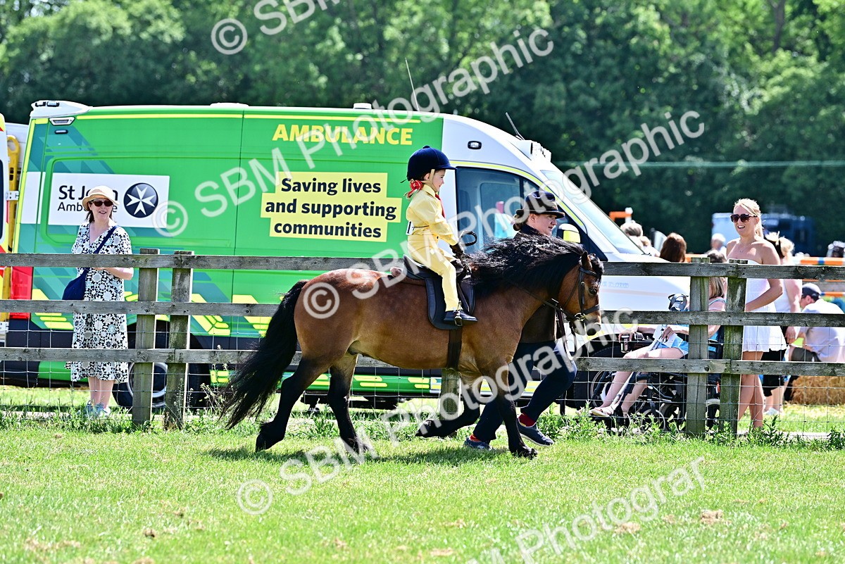 SBM_05777 - Class 59-60 - TSR M&M  Lear Rein and First Ridden Amateur of the year