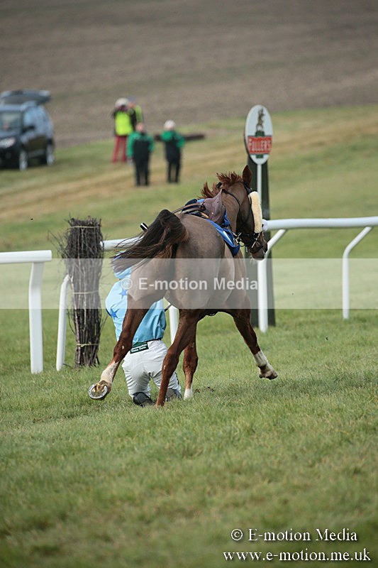 PtP 251118-81 - Vine & Craven Point-to Point Barbury Racecourse 25/11/18