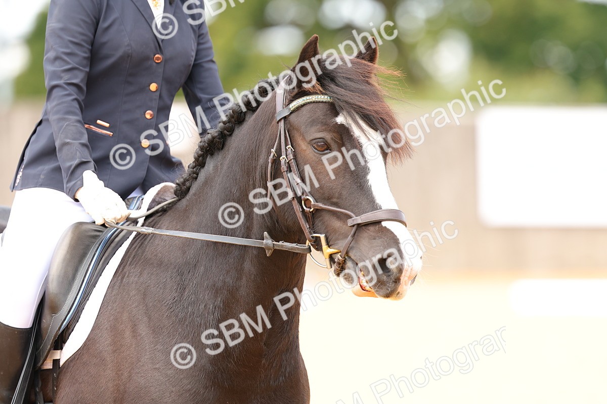 SBM_44003 - D22 - Junior Championship - Intro B