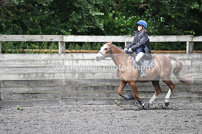 WJ6_0372 - Class 13 Novice 60cm