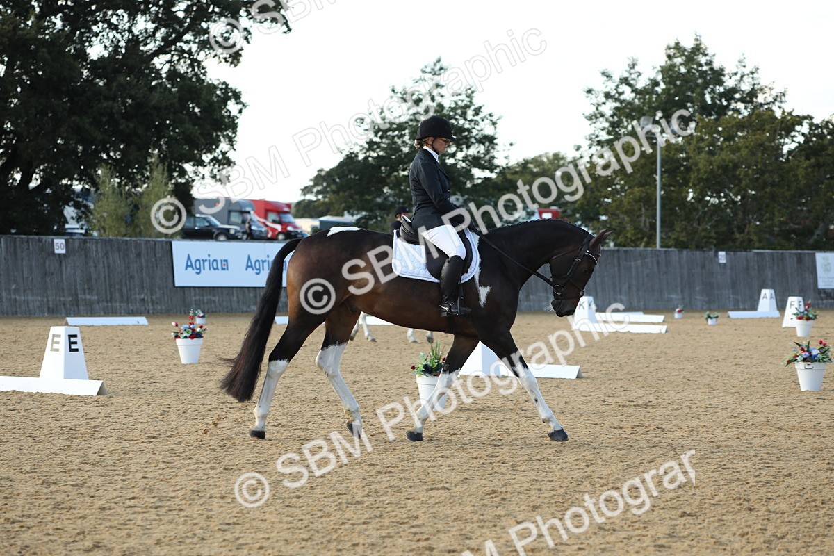 SBM_30361 - D20 - Grand Tour Championship - Elementary 44