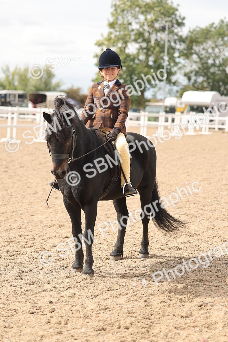 SBM_15890 - Class 310 - First Ridden Pony