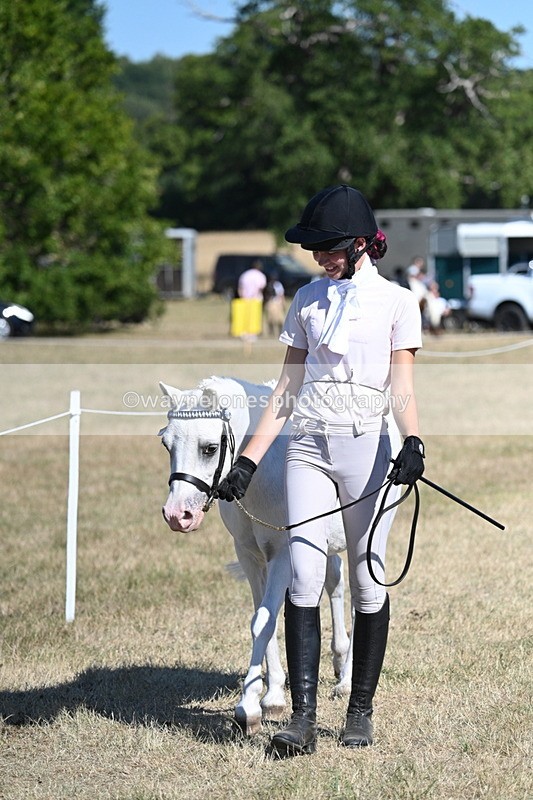 WJ7_1785 - Class 43 Best Six Legs (In hand)