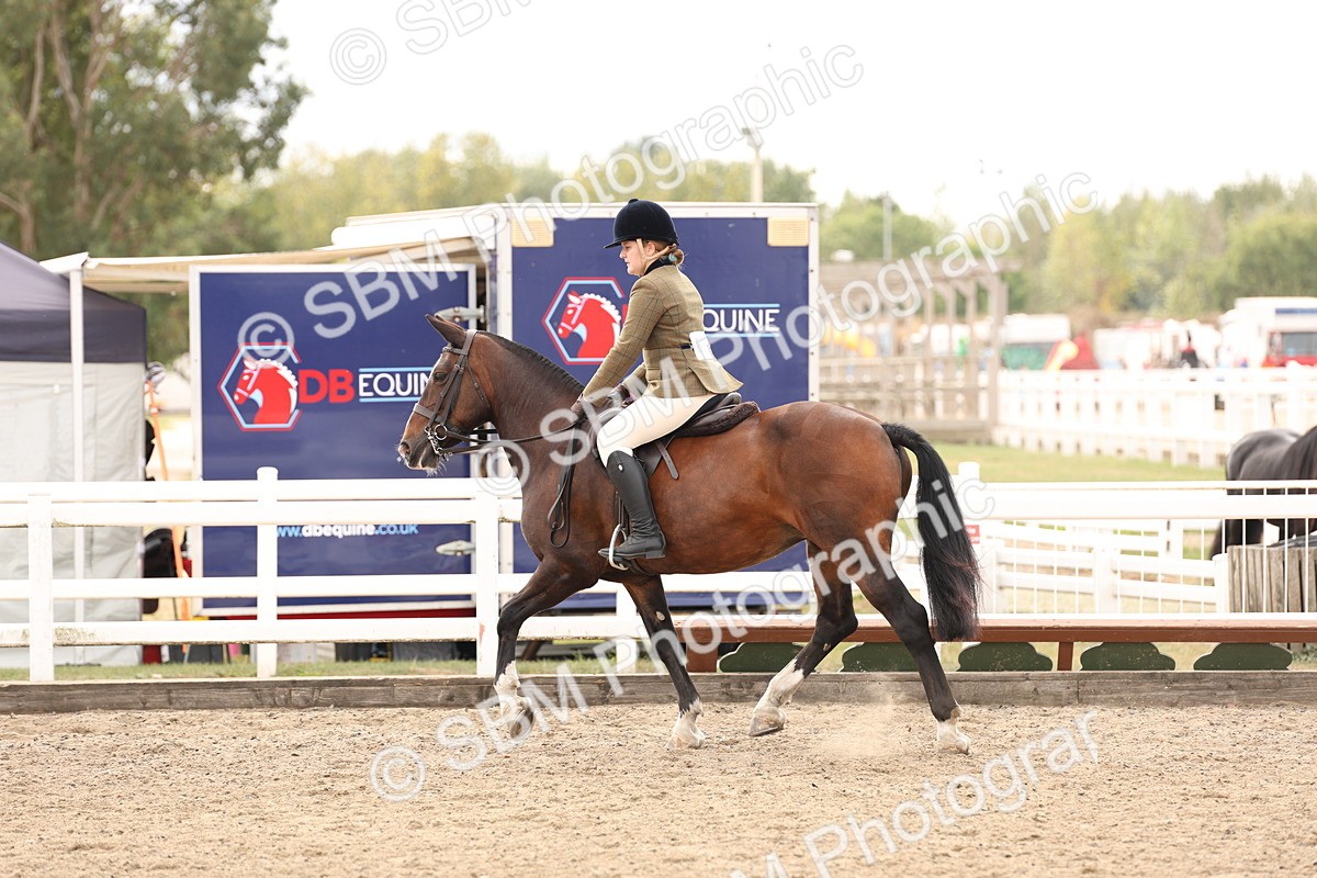 SBM_05135 - Class 56a -  Style & Performance - 50cm (15-19)