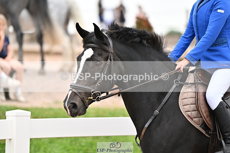 250819B-160154-00398 - 70cm