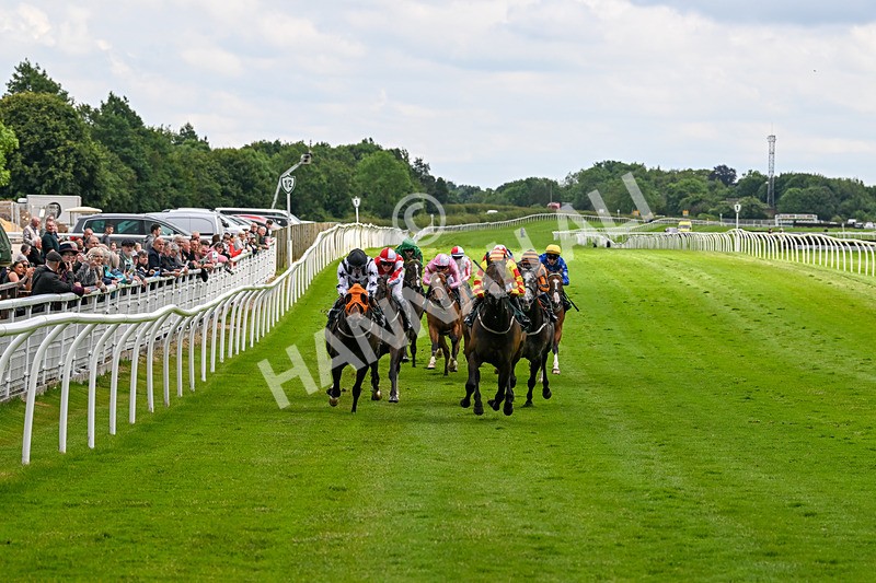 180624-Race 3-High Opinion-0286 - Race 3