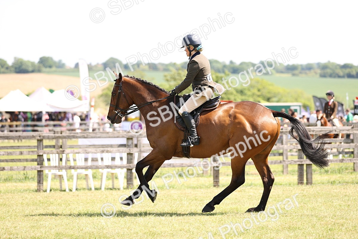 SBM_14950 - Class 78 - LIHS BSHA Open Racehorse & Show Horse