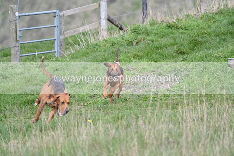 WJ7_8034 - Line 2 A camera