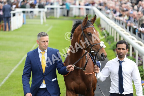 yr12052022r4-24 - Race 4 3.35pm Al Basti Equiworld Dubai Dante Stakes