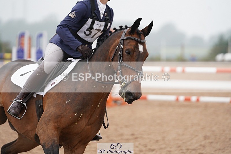 240901A-143126-10055 - 572-Molly.Swain-SOCKS