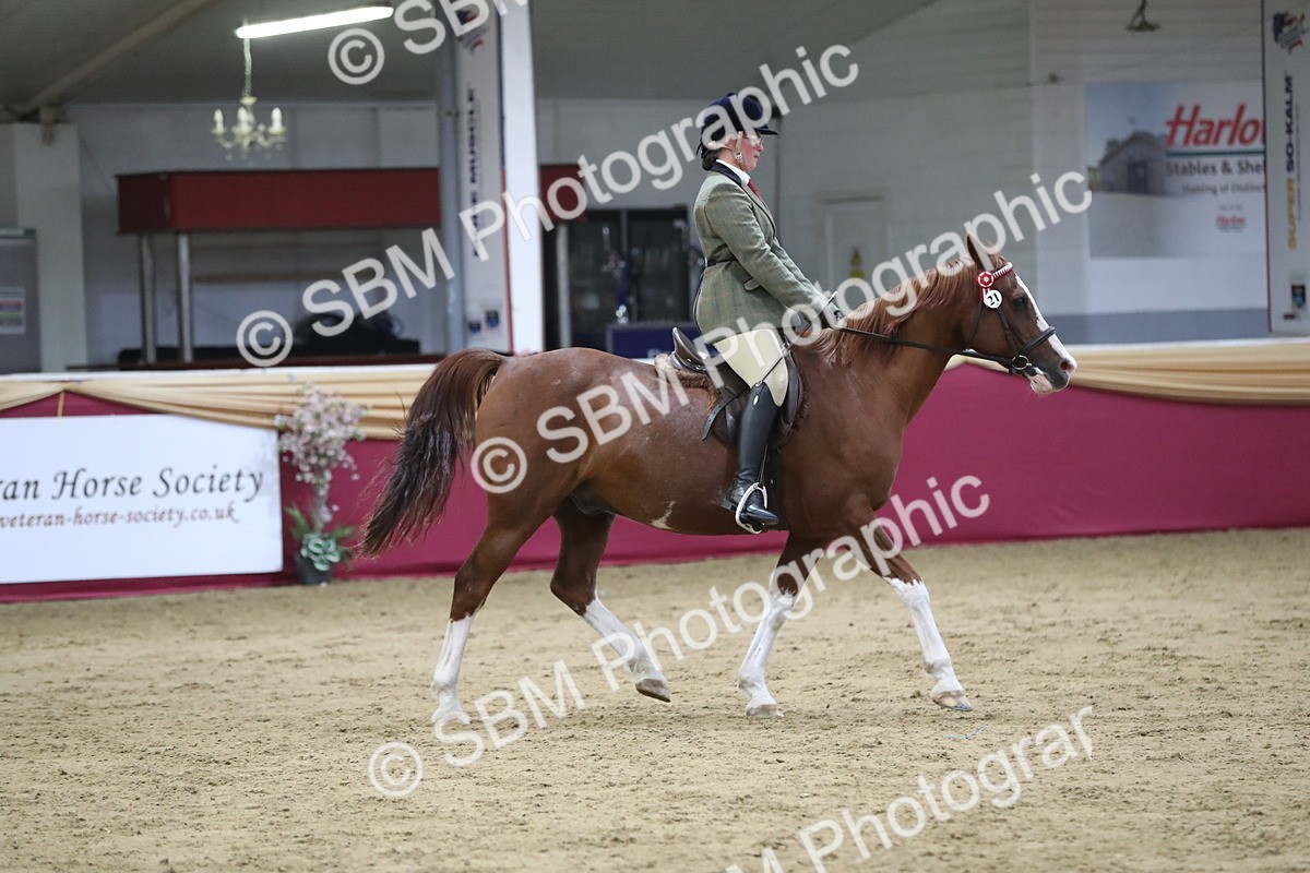 SBM_08452 - Class 11R Regional Ridden Veteran