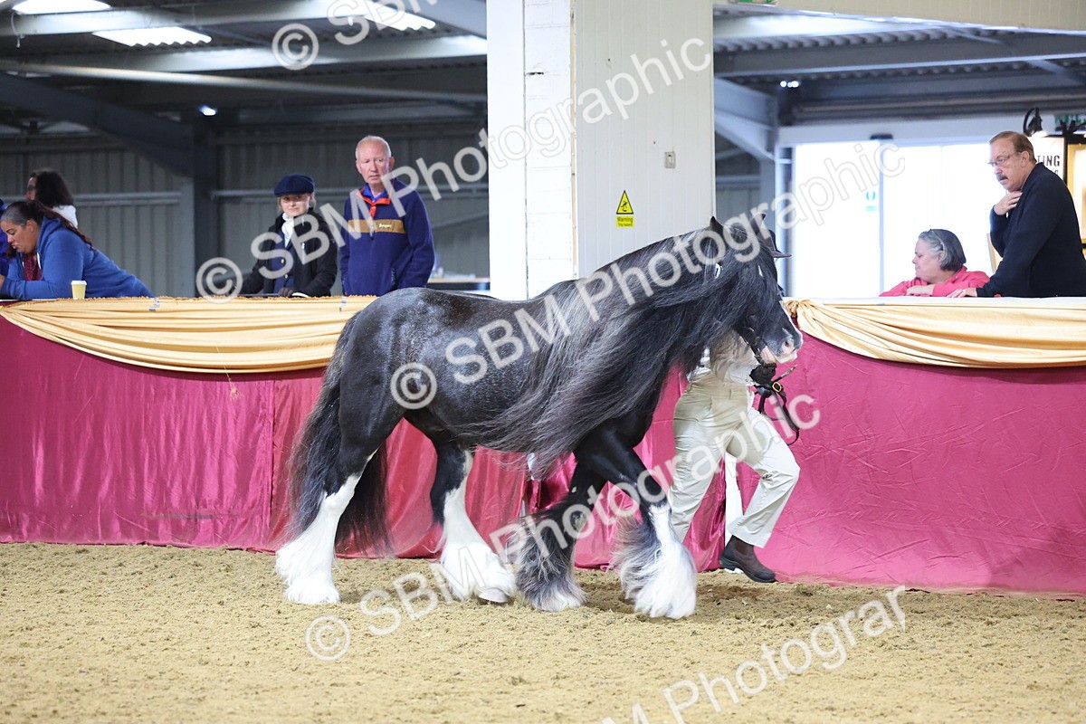 SBM_20971 - Class 902 - Supreme Final IH Veteran