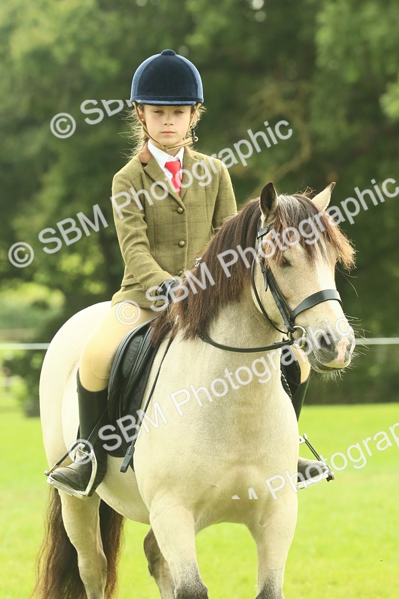 SBM_69940 - S59 - Mountain & Moorland Ridden Small Breeds